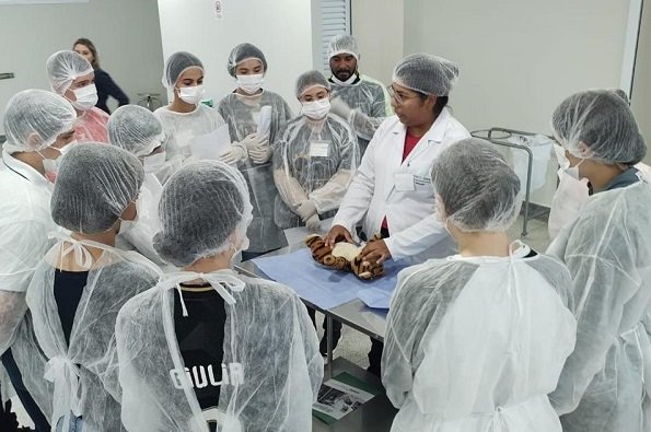 Medicina Veterinária da Unesp Botucatu abre inscrições para escola de inverno