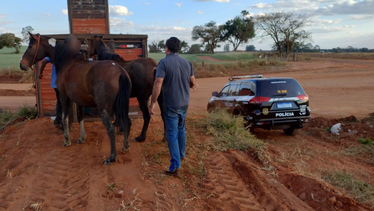 Policia investiga furto de éguas em Botucatu
