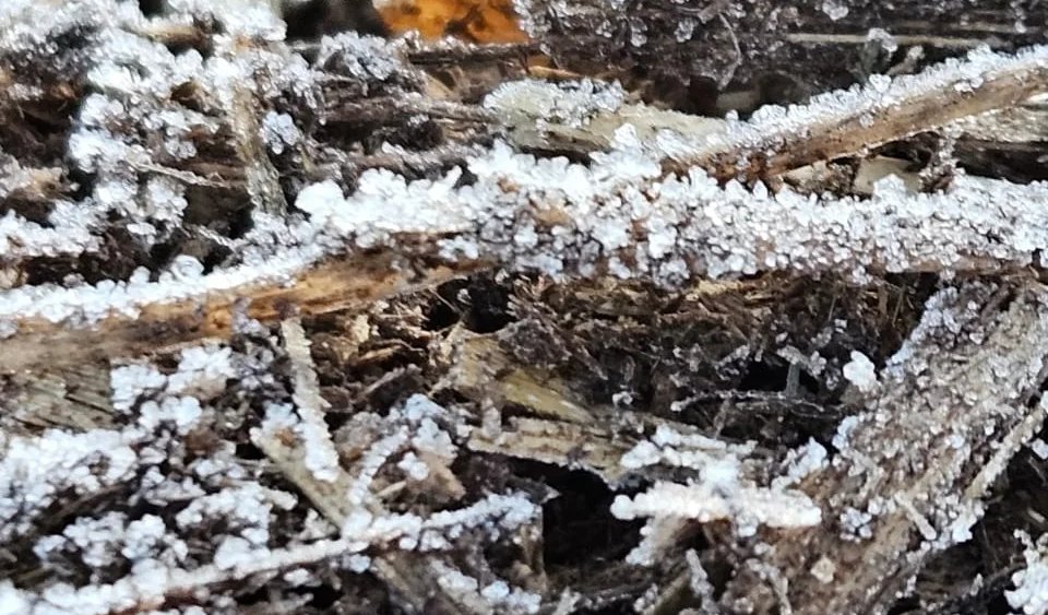 Temperatura chega a 1 grau na região de Botucatu
