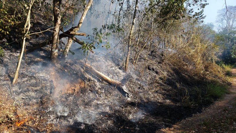 São Paulo prorroga até sábado alerta de risco elevado para incêndios