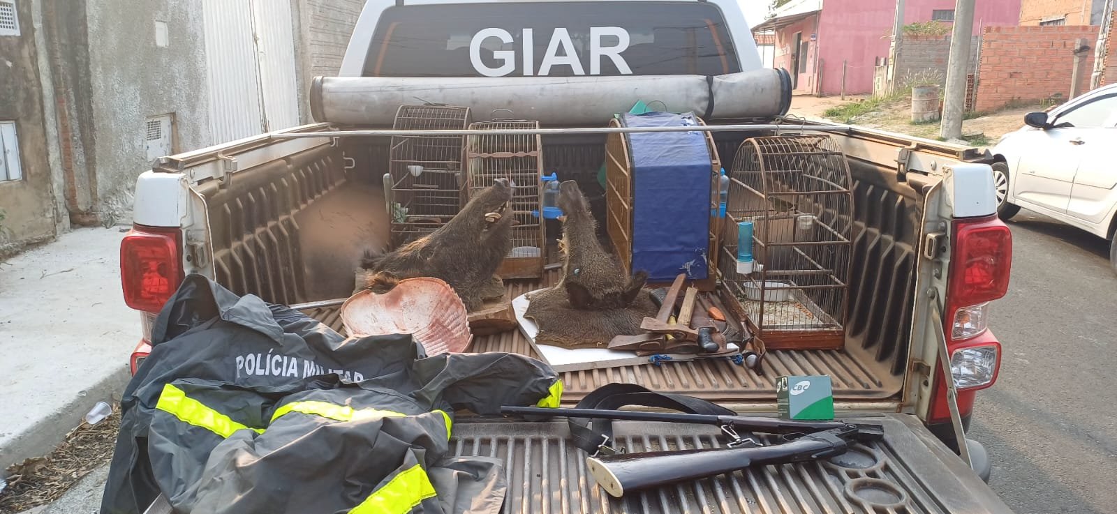 Botucatu: homem é preso por caça, porte ilegal de arma e maus-tratos a animais