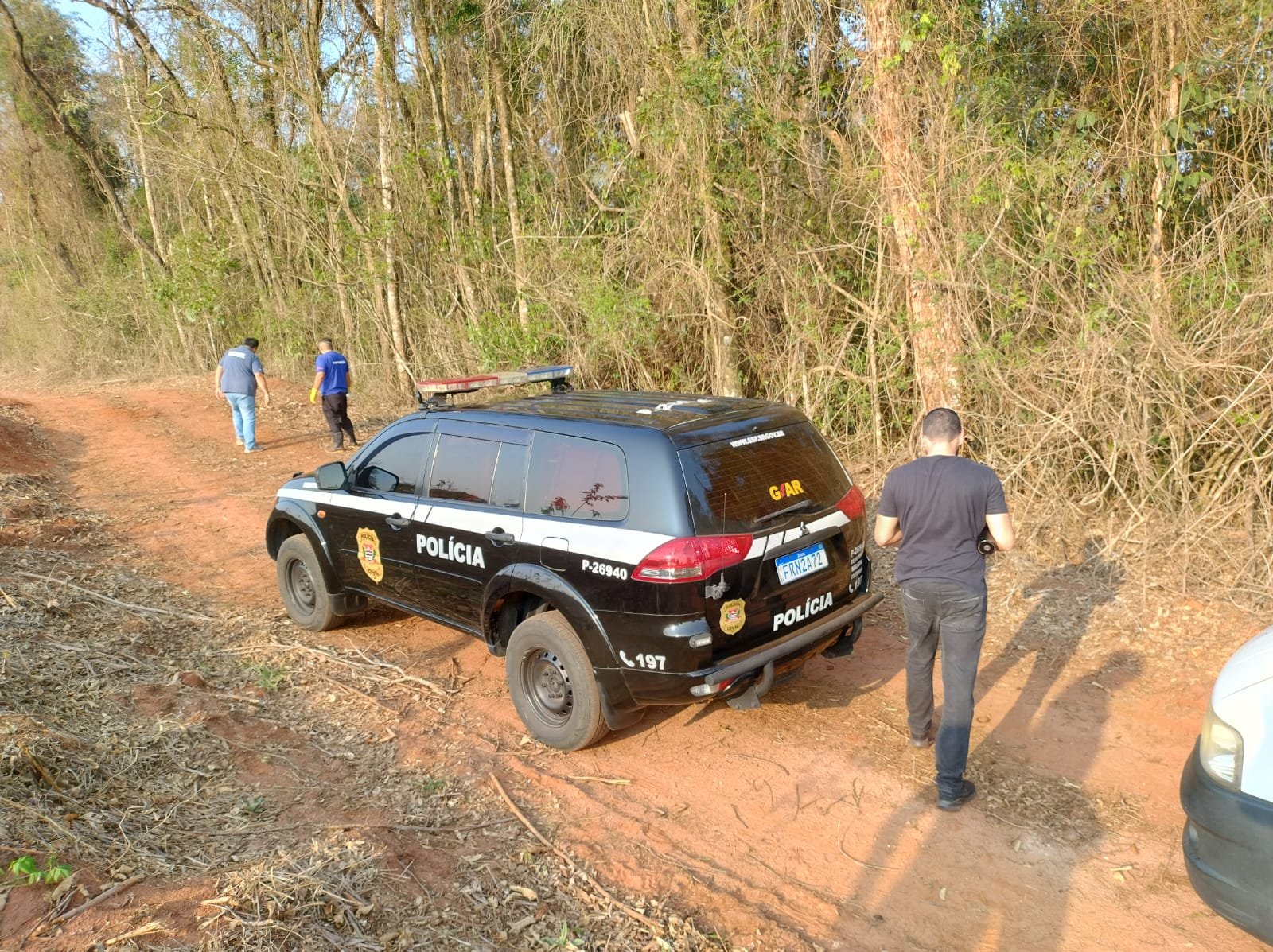 Homem é encontrado morto em plantação de eucalipto