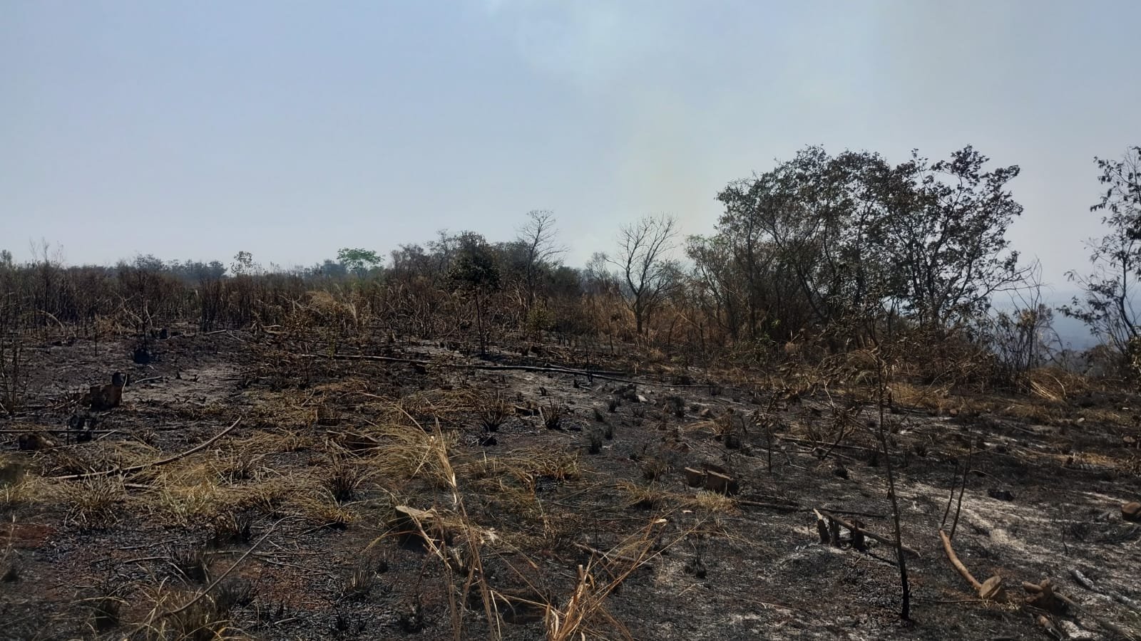 Incêndio atinge Fazenda Edgardia, área de proteção ambiental
