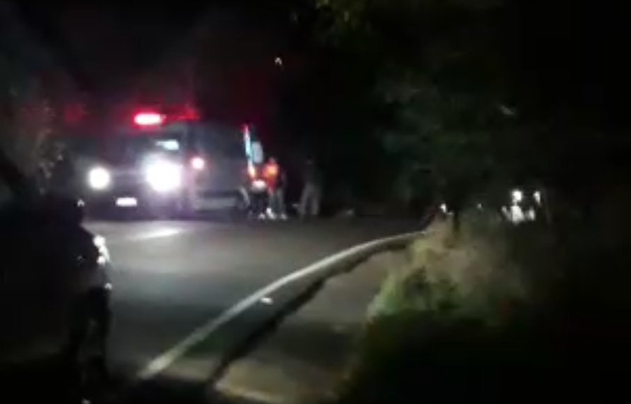 Motociclista morre ao colidir contra árvore em rodovia