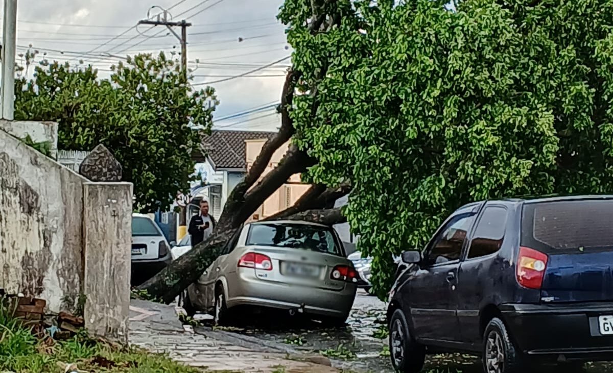 Temporal com vento de 100 km/h causa estragos em Avaré