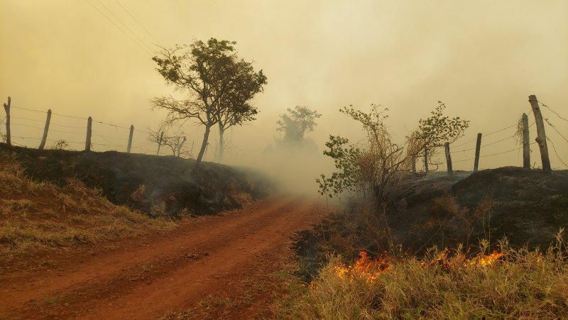 Evento da Unesp discutiu incêndios florestais na Cuesta e no Brasil com especialistas