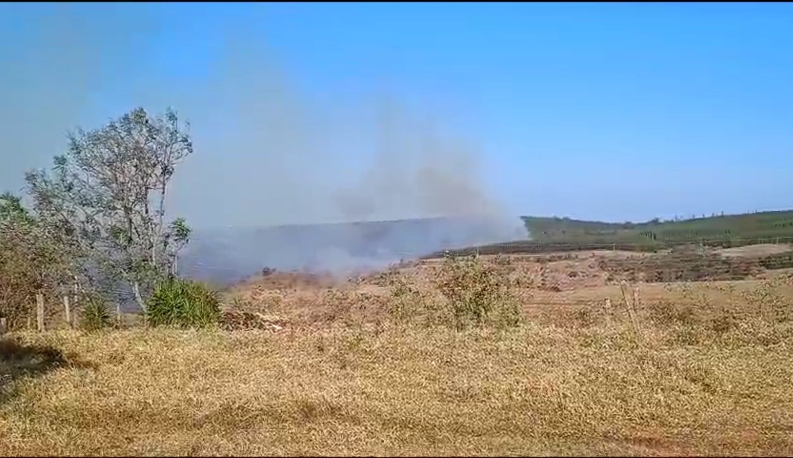 Incêndio atinge área de preservação em Botucatu