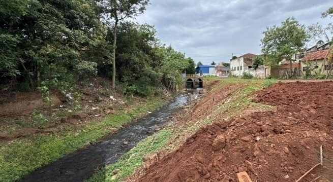 São Manuel promove plantio de árvores nativas às margens de córregos
