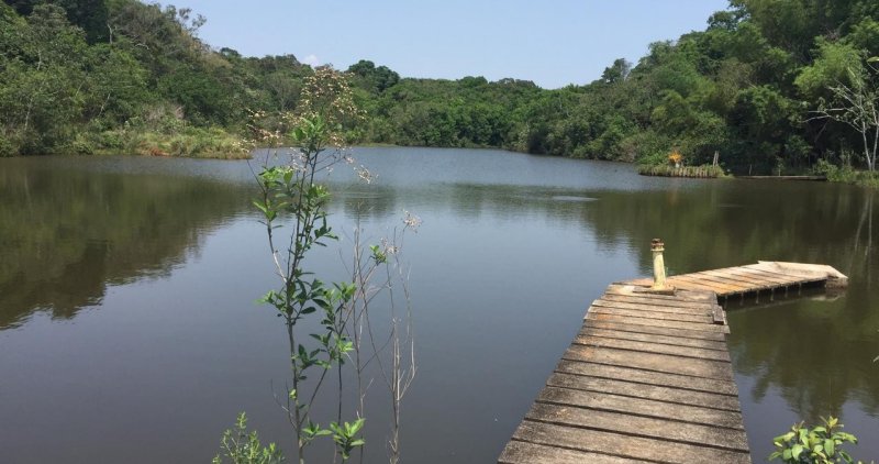 Escola do Meio Ambiente atendeu 15 mil alunos em 2024