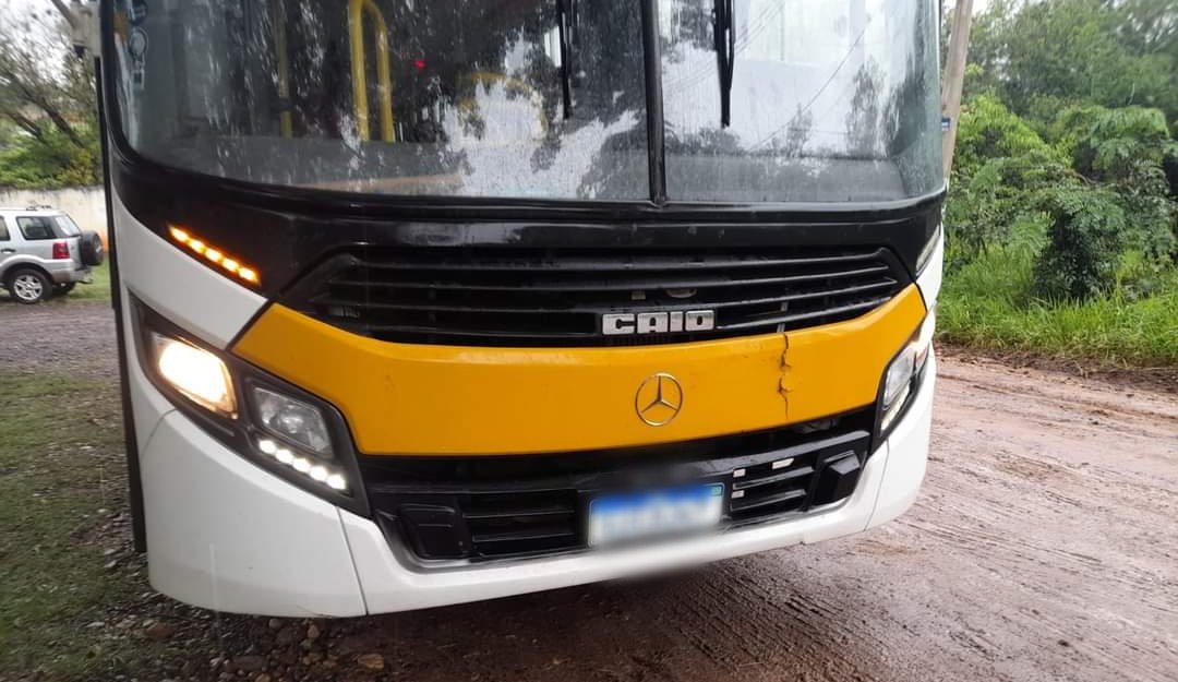 Ônibus escolar colide contra cavalo no Rio Bonito