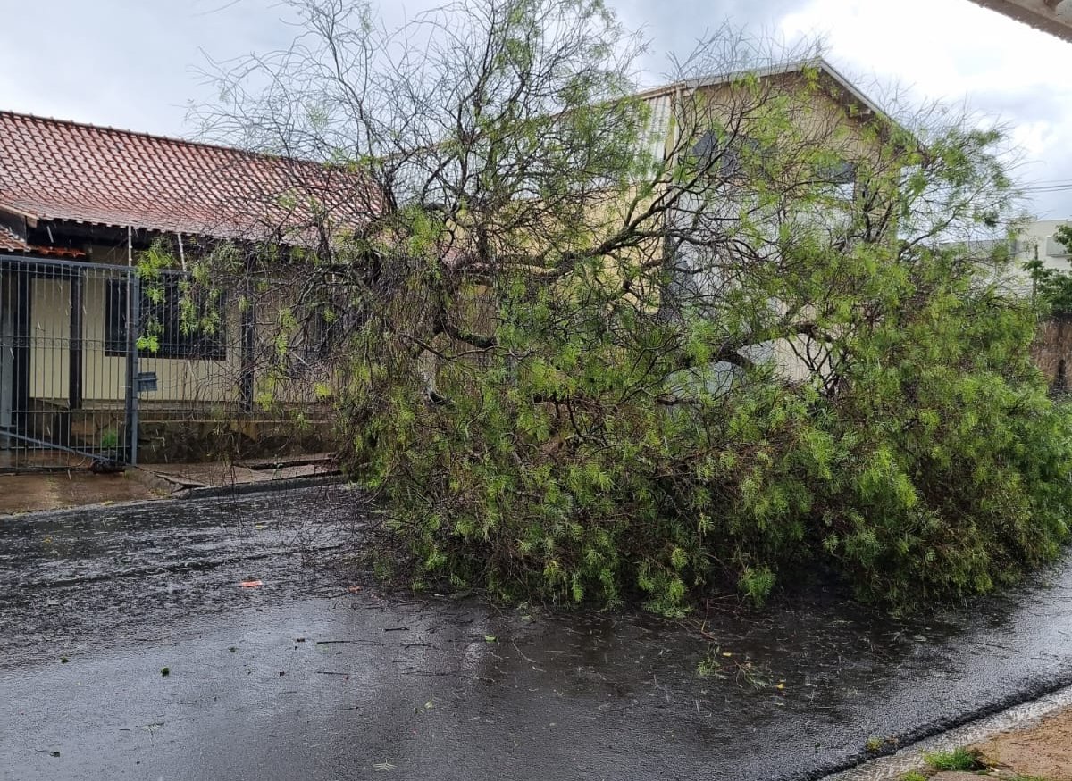 Regiões de Botucatu afetadas pela forte chuva