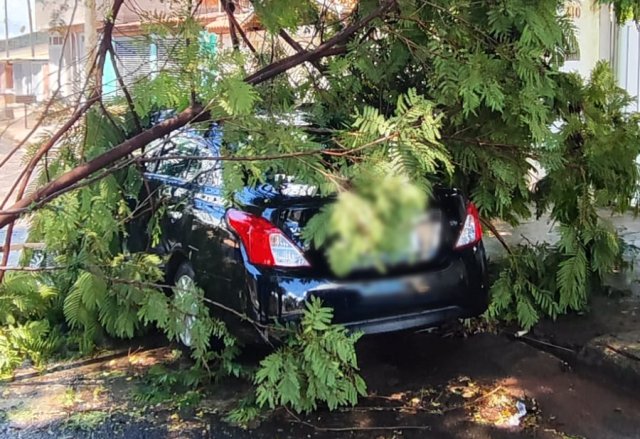 Botucatu: carro atingido por queda de galhos em chuva