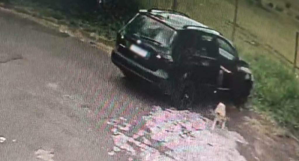 Polícia apura abandono de cachorro por tutora em Botucatu