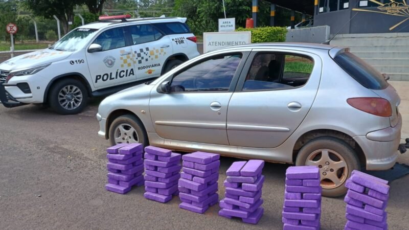 Polícia apreende mais de 90 quilos de maconha em sacos de ração para cachorro