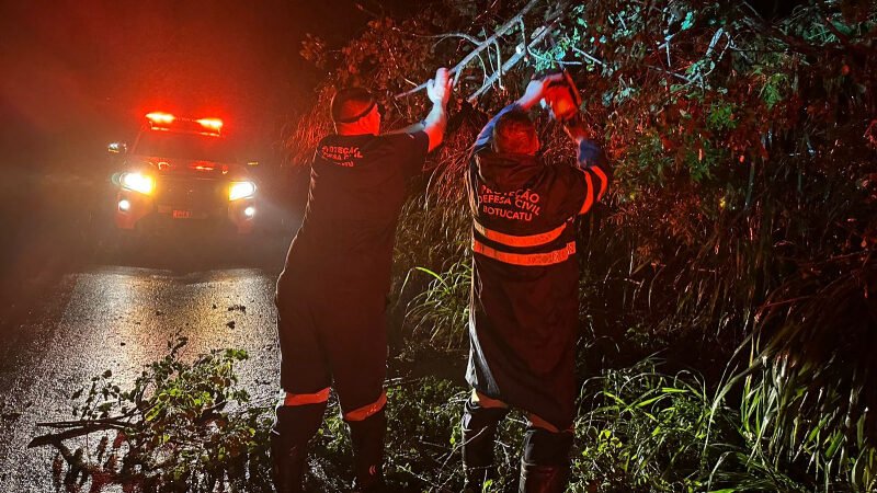 Quedas de árvores interrompem tráfego na Alcides Soares