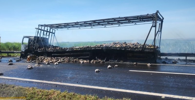 Caminhão carregado com frangos pega fogo na região