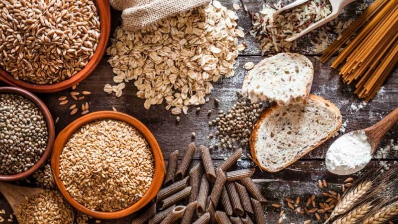 Consumo de fibras protege intestino contra infecção bacteriana