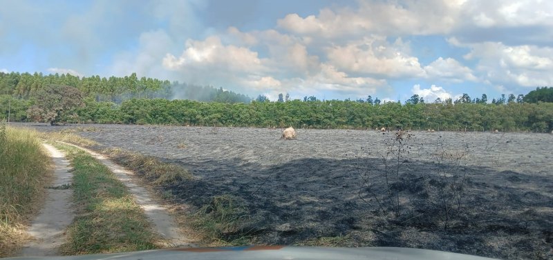 Incêndio destrói área de vegetação na Mina