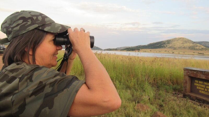 Educadora ambiental de Botucatu lançará minidocumentário sobre aves e ninhos da região