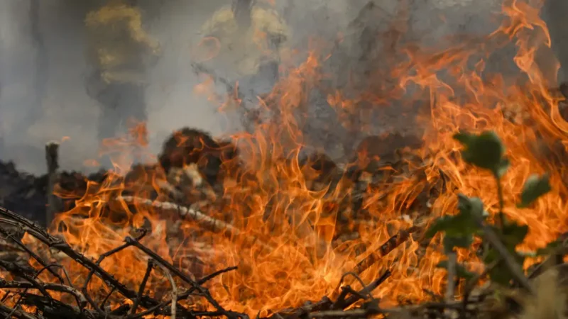 Câmara aprova aumento de punição a quem provocar incêndios florestais