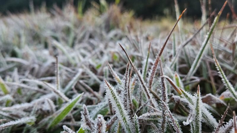 Temperatura chega a 1°C na região com pontos de geada