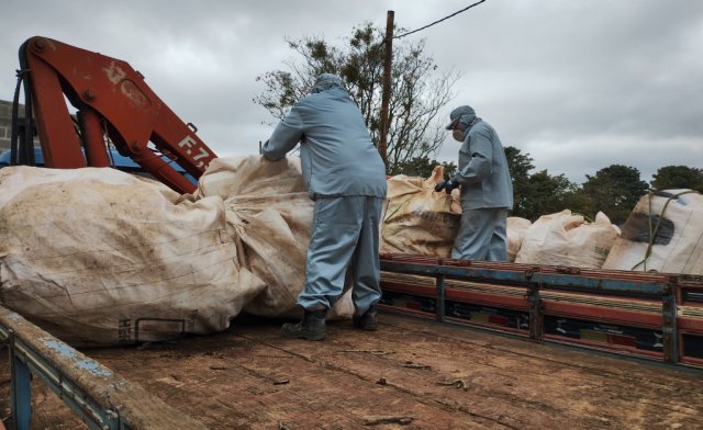 Botucatu recolheu mais de mil embalagens de agrotóxicos