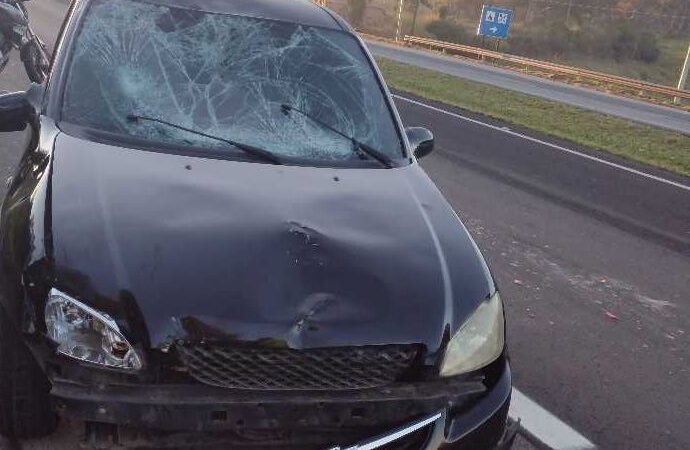 Pedestres morrem atropelados na Marechal Rondon