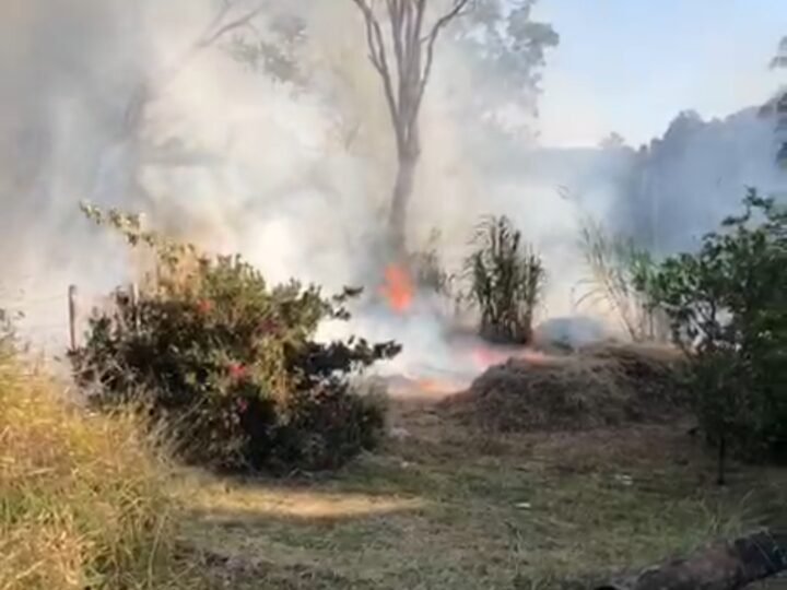 Vizinhos evitam que incêndio criminoso atinja casa