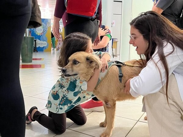 Projeto da Unesp Botucatu leva terapia assistida por animais a serviços de saúde