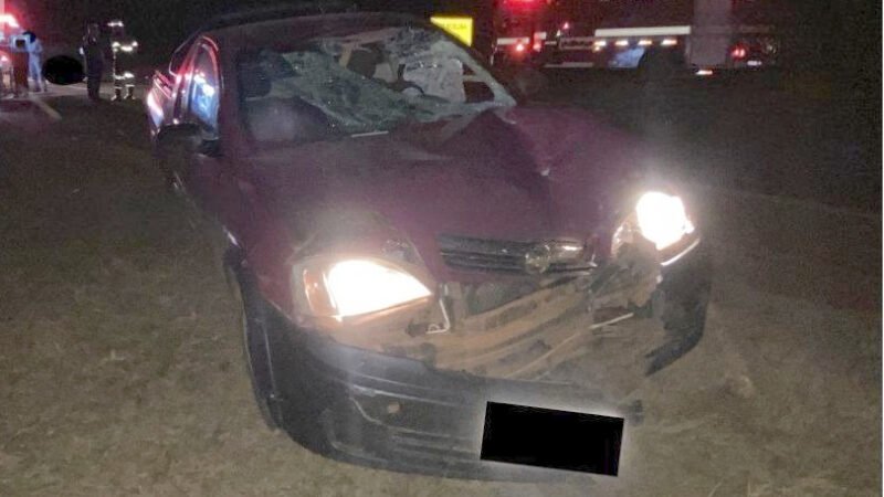 Pedestre morre atropelado por caminhonete em rodovia