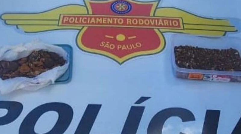 Polícia flagra casal com “ouro bovino” irregular