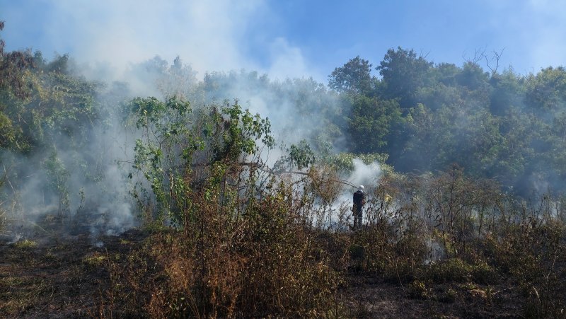 Botucatu: incêndio atinge área na linha férrea