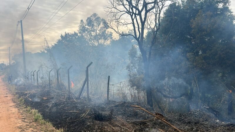Botucatu: incêndio atinge vegetação às margens de linha férrea