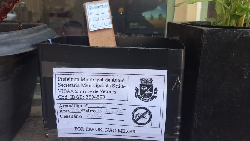 Vigilância Sanitária de Avaré instala armadilhas para captura do Aedes Aegypti