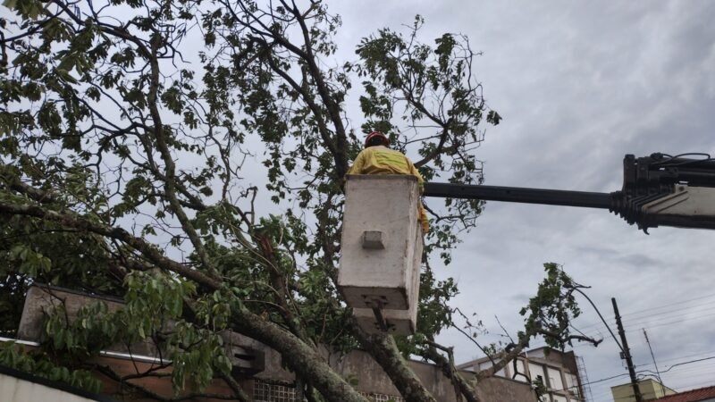 Justiça determina que CPFL apresente plano emergencial para Botucatu