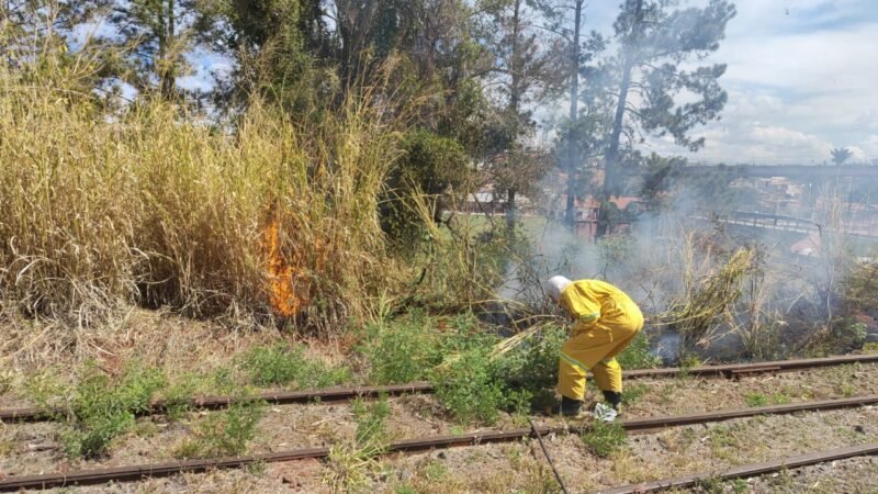 Incêndio atinge área próxima do elevado Bento Natel