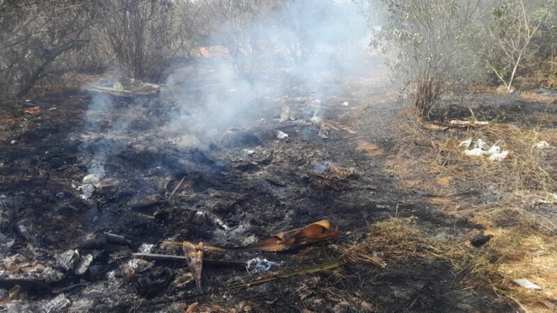 Incêndio destrói vegetação no Jardim Brasil