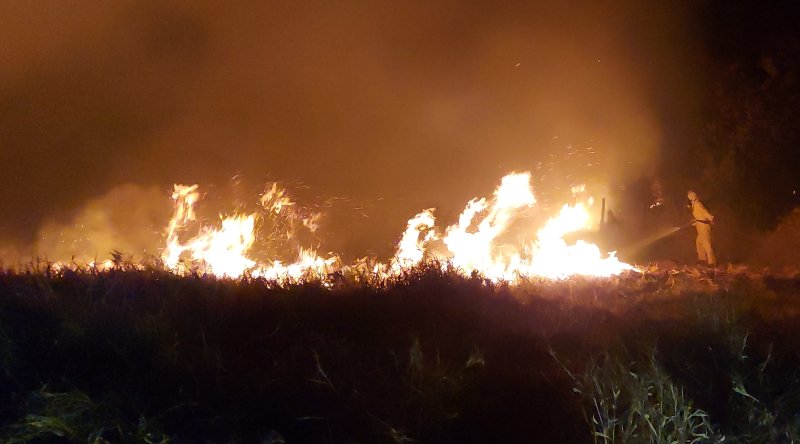 Incêndio devasta área na Fazenda Lageado
