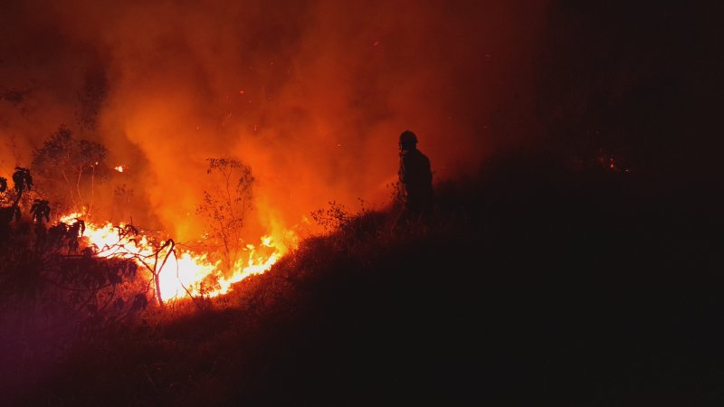 Incêndio devasta área próxima à antiga CESP