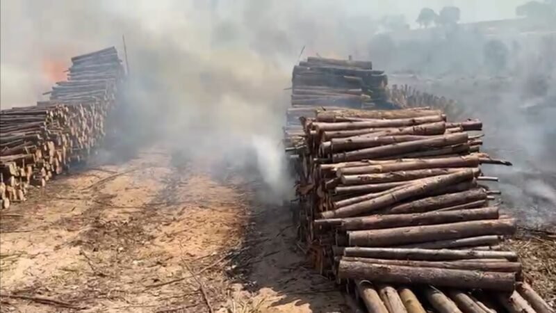 Incêndio atinge área de depósito de madeira