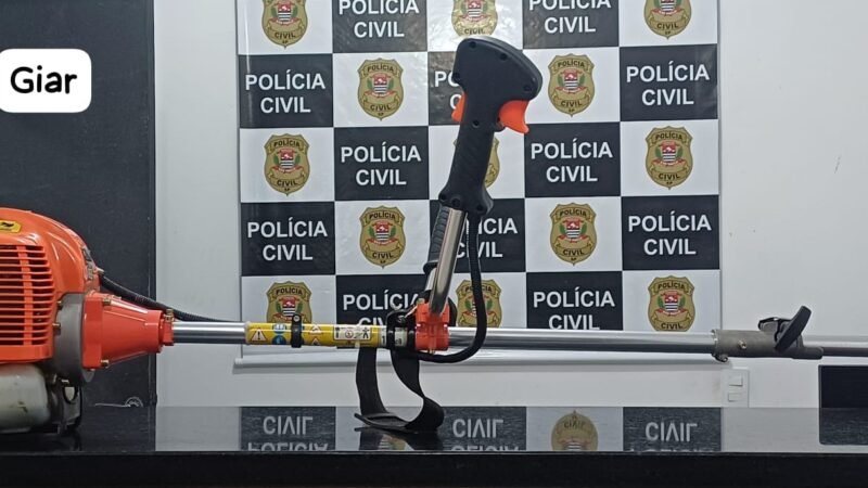 Polícia Civil captura autor de furto contra sítio em Botucatu