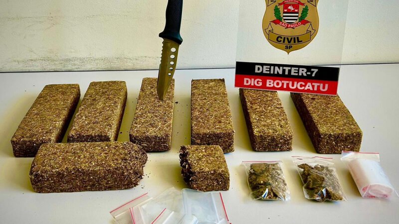 Polícia encontra tijolos de maconha enterrados em matagal