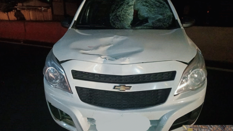 Pedestre morre atropelado ao tentar atravessar pista da Rondon