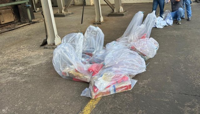 Polícia incinera mais de 200 kg de drogas apreendidas