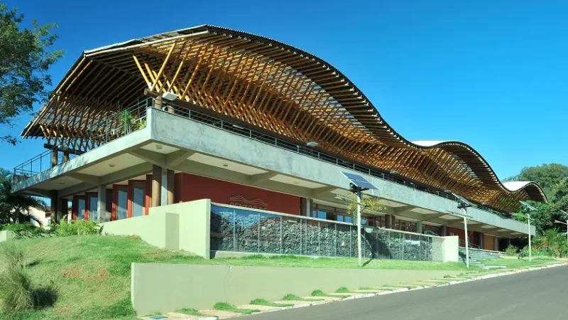 Centro Max Feffer celebra o Mês da Consciência Negra com programação especial