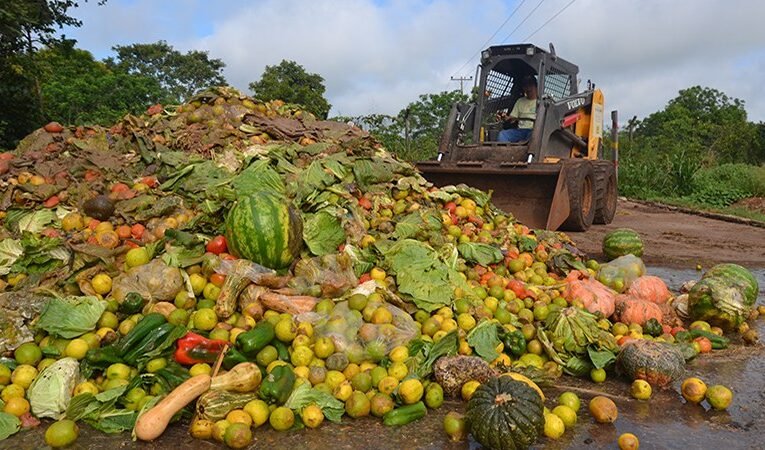 Projeto torna crime o descarte de alimentos aptos para consumo