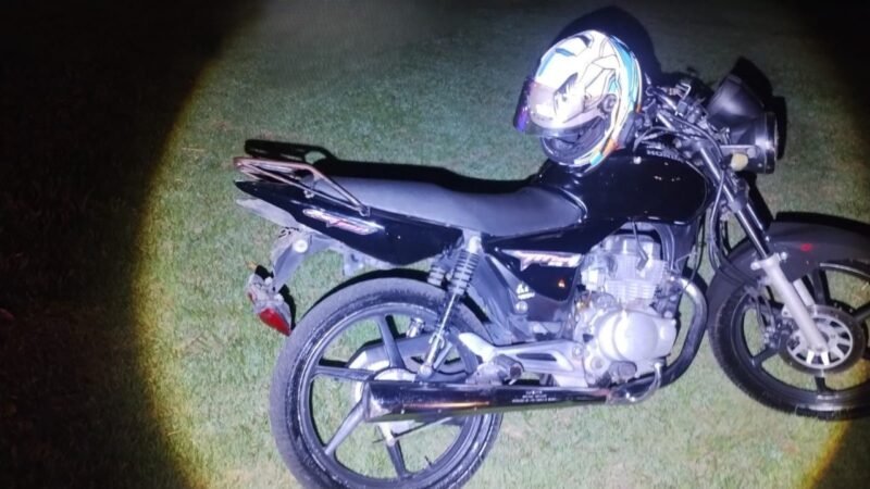 Garupa morre após moto atropelar capivara em rodovia