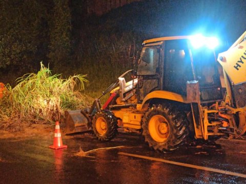 Deslizamento de terra e queda de árvore interditam Domingos Sartori