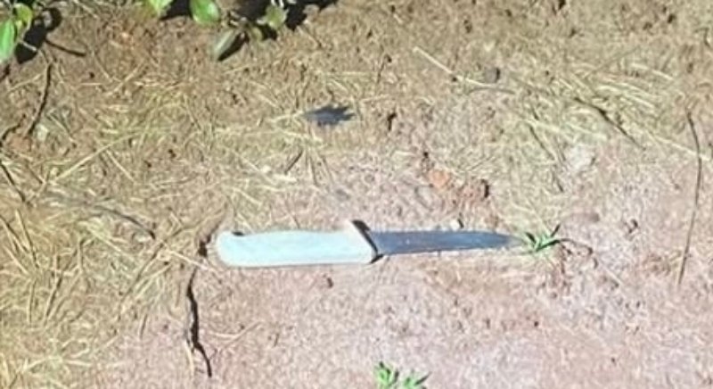 Mulher é morta a facadas pelo amante