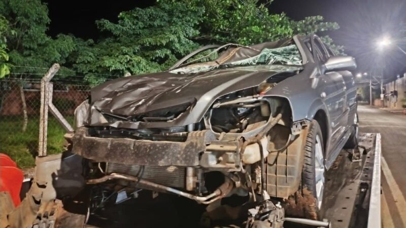 Cavalo e cabrita soltos causam acidente na Marechal Rondon